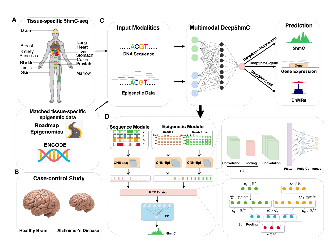 Figure 1 from the Deep5hmC paper