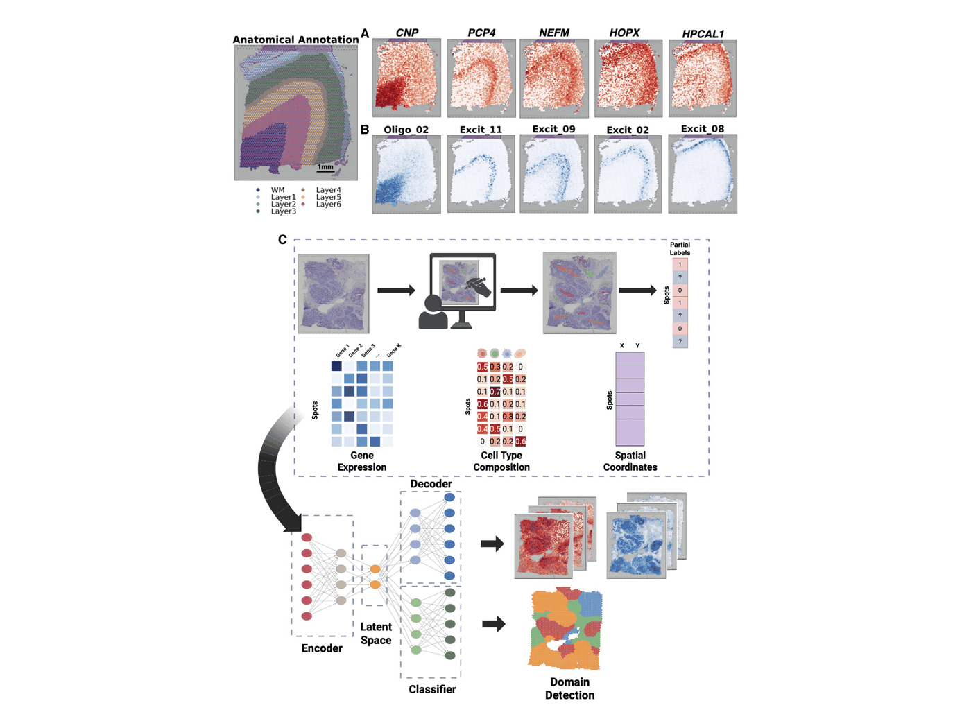 Figure 1 from the GraphScrDom paper