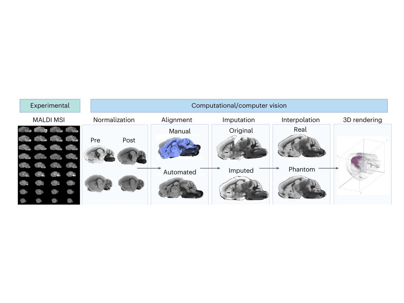 Figure 1 from the MetaVision3D paper
